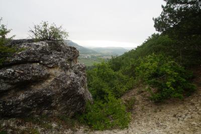 Прикрепленное изображение: A58DSC03483-1.jpg